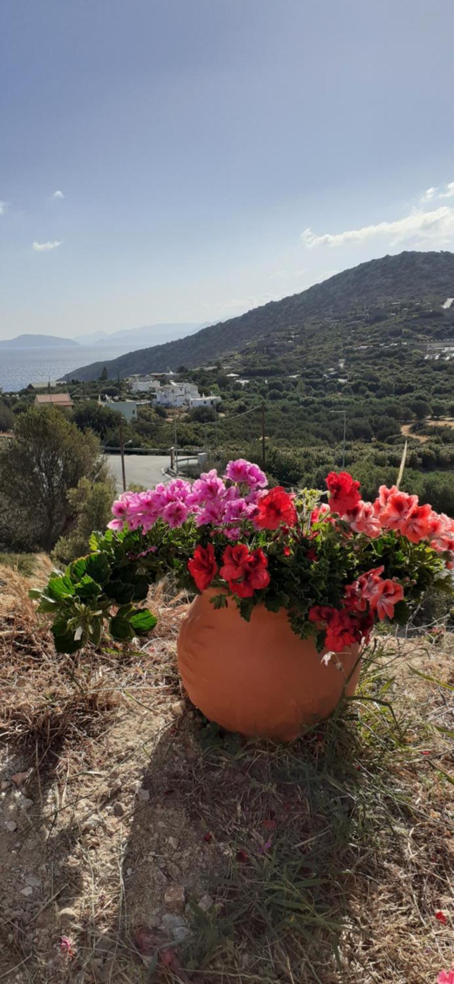 Hari Apartments Vathi, Agios Nikolaos Crete Екстер'єр фото
