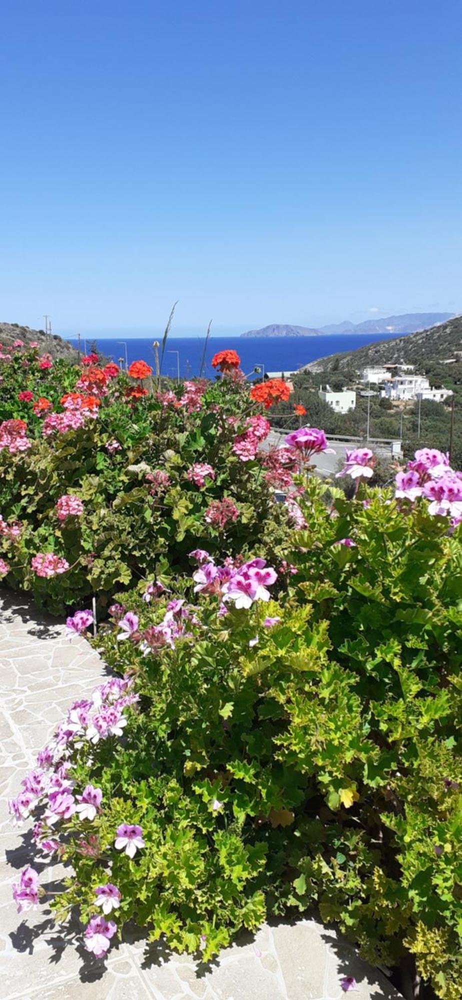 Hari Apartments Vathi, Agios Nikolaos Crete Екстер'єр фото
