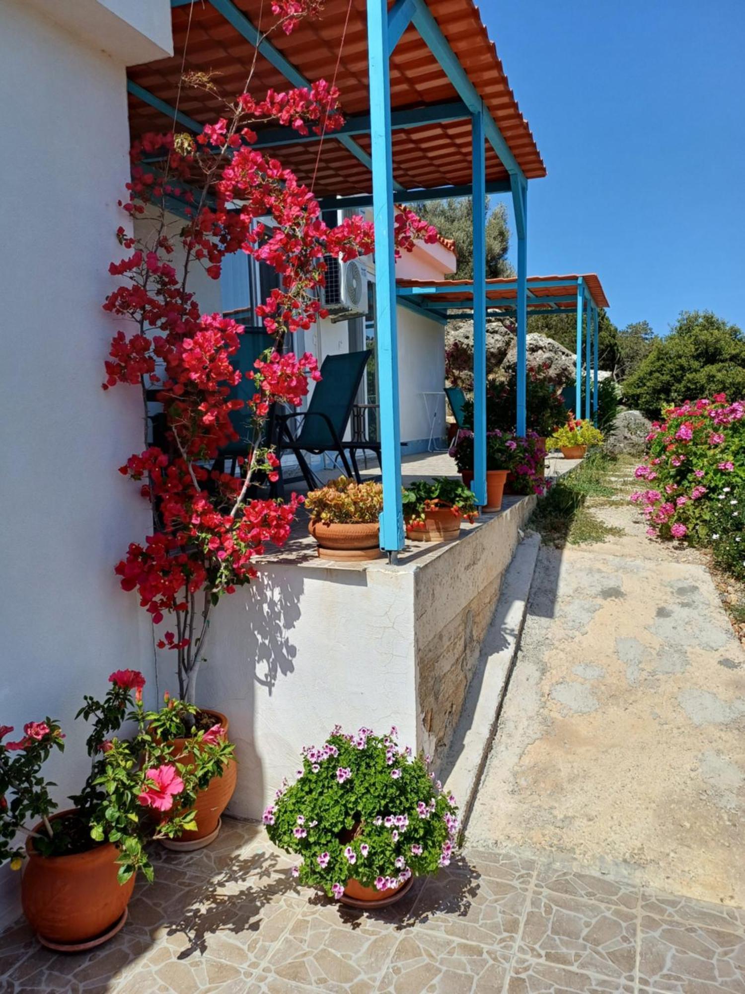 Hari Apartments Vathi, Agios Nikolaos Crete Екстер'єр фото
